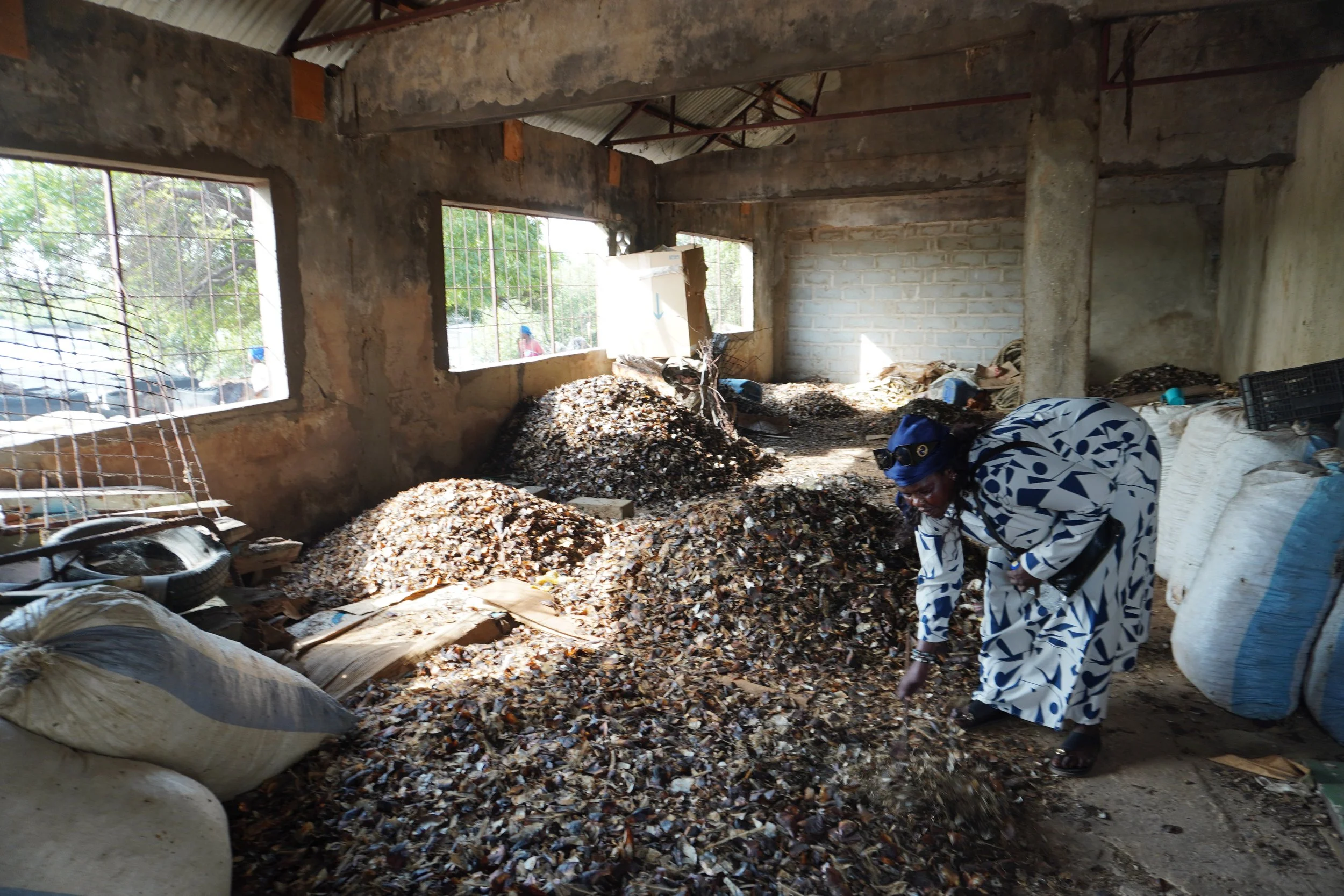  “ Nothing is wasted, everything is transformed! ” Mariama Jeng, a fishmonger, shows how once dried, fish scales and entrails are used to feed poultry or fertilize agricultural plots. 