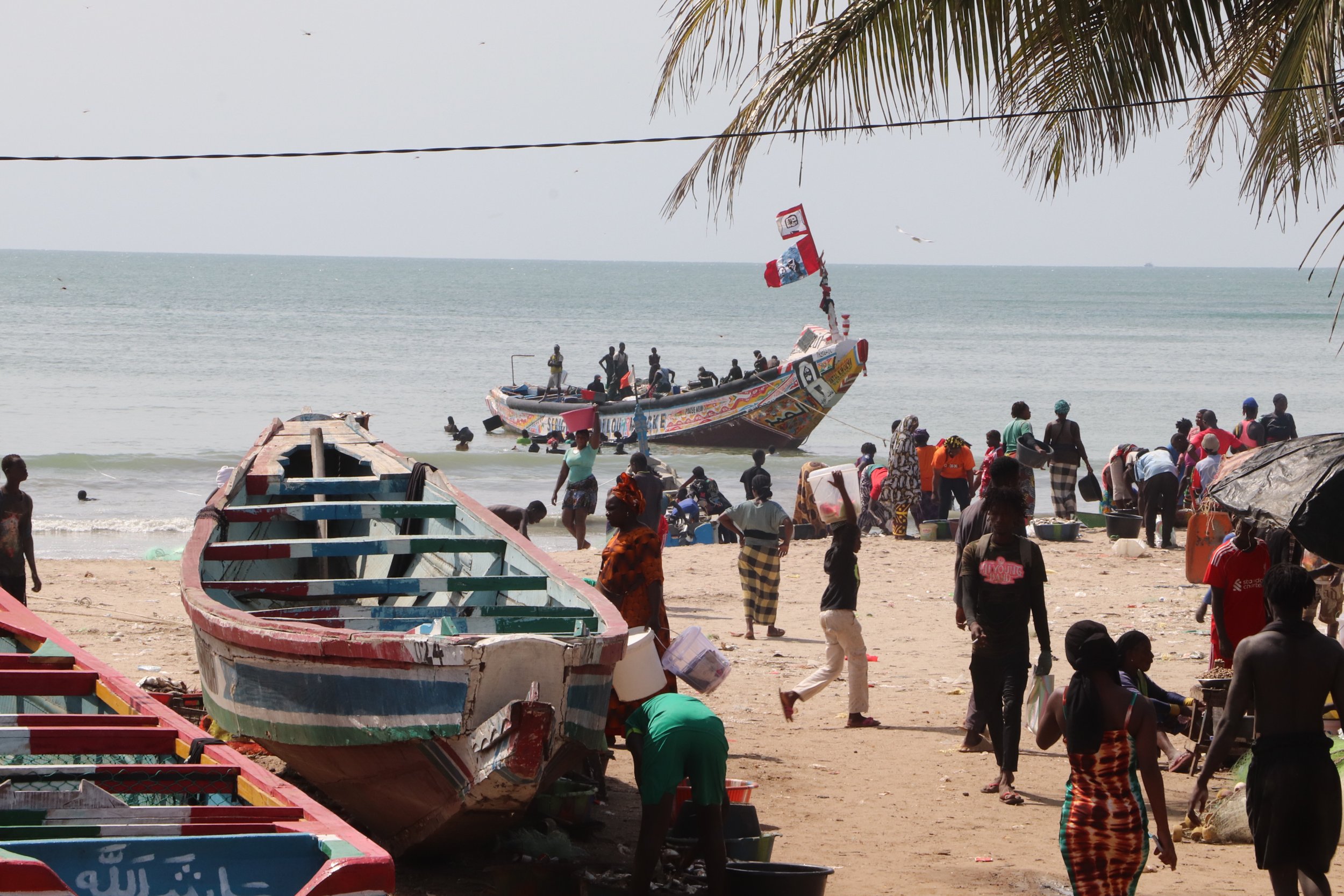 The blue sapphire anniversary of EU Fisheries Access Agreements: time for change?