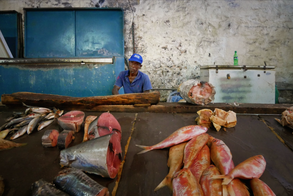 SFPA monies must reach the shore: What Mauritian artisanal fishers expect from the future fisheries agreement with the EU
