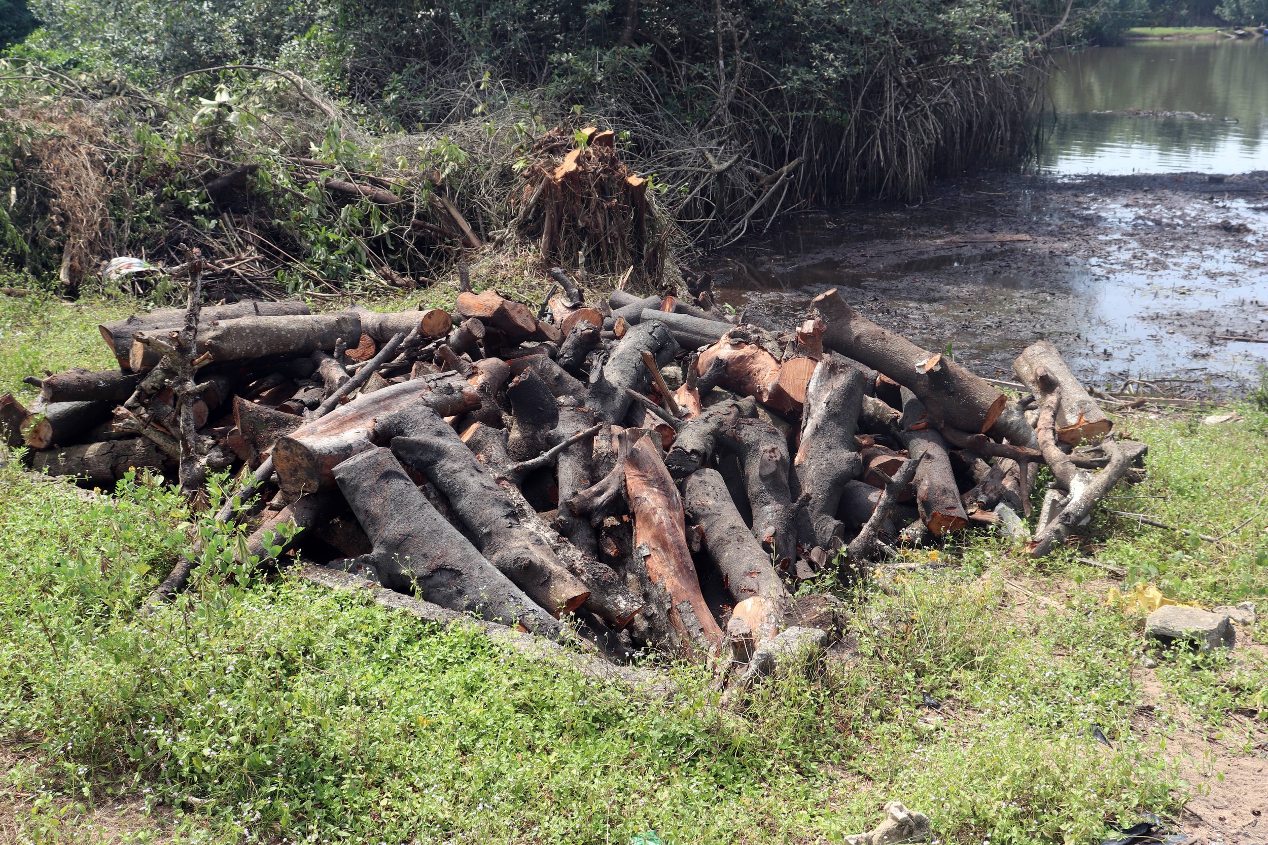  Economic support measures are needed for women fish processors whose smoking activities still rely heavily on wood, often sourced from mangroves. Due to limited financial means, they are generally unable to invest in improved FTT ovens, which use le