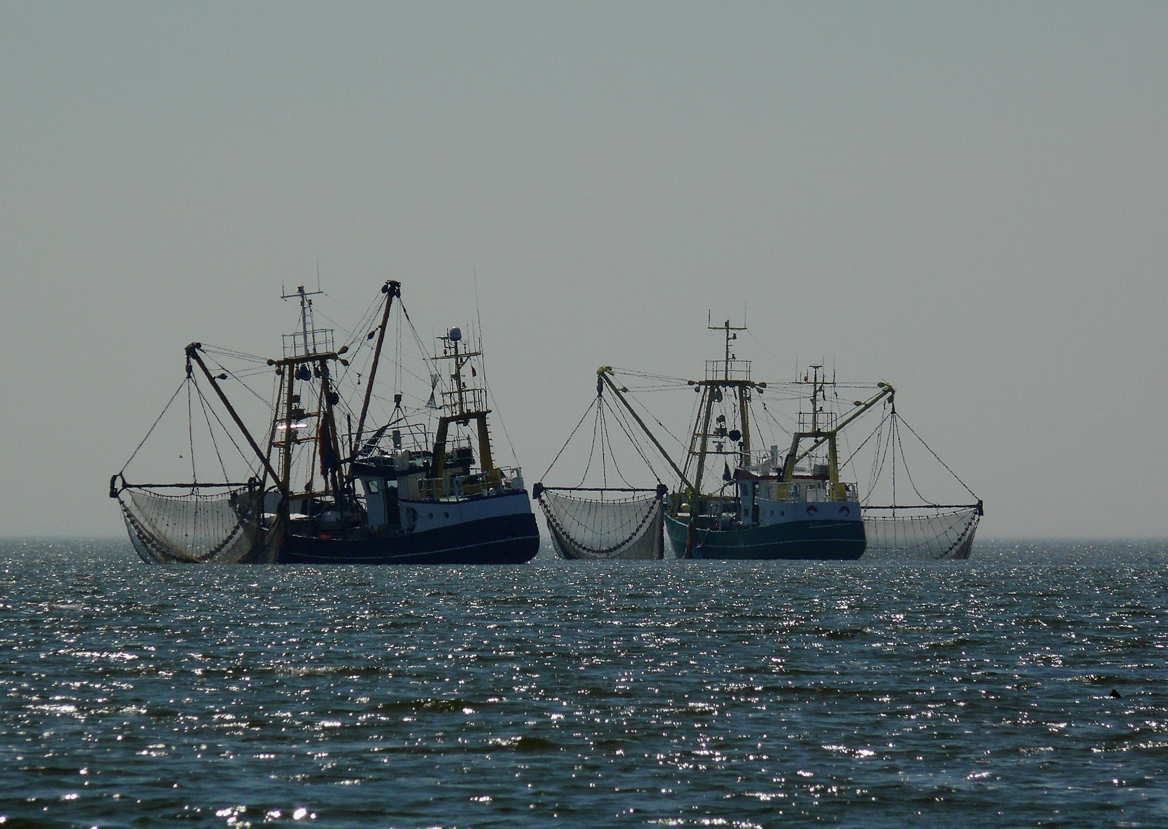 Can the EU modernise its fishing fleet without increasing fishing pressure? What is at stake for distant water fishing in Africa?