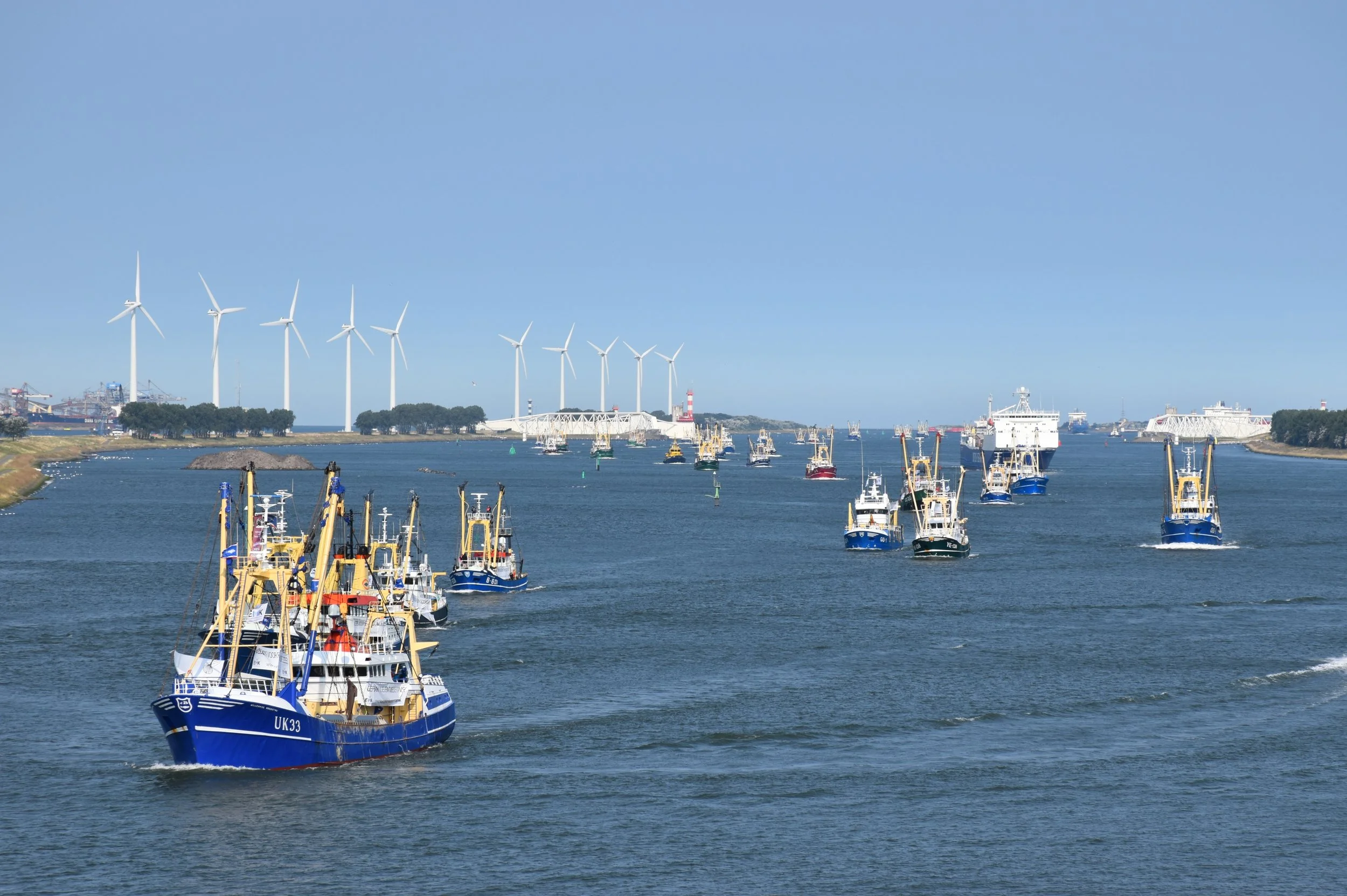 Maritime Spatial Planning: the European Parliament calls for reserved areas for small scale fishing 