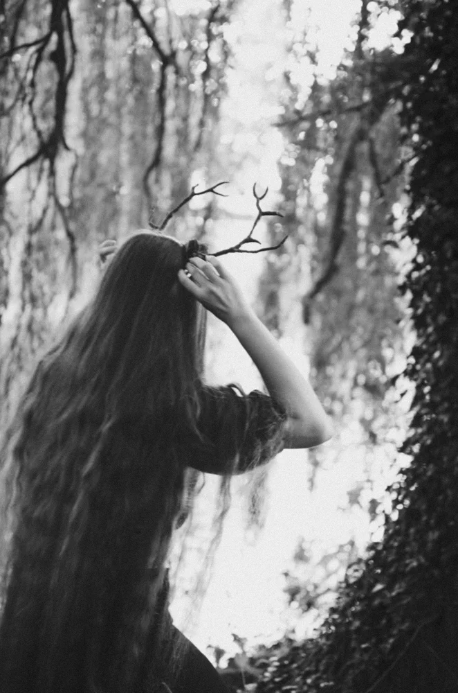 Forest fairy