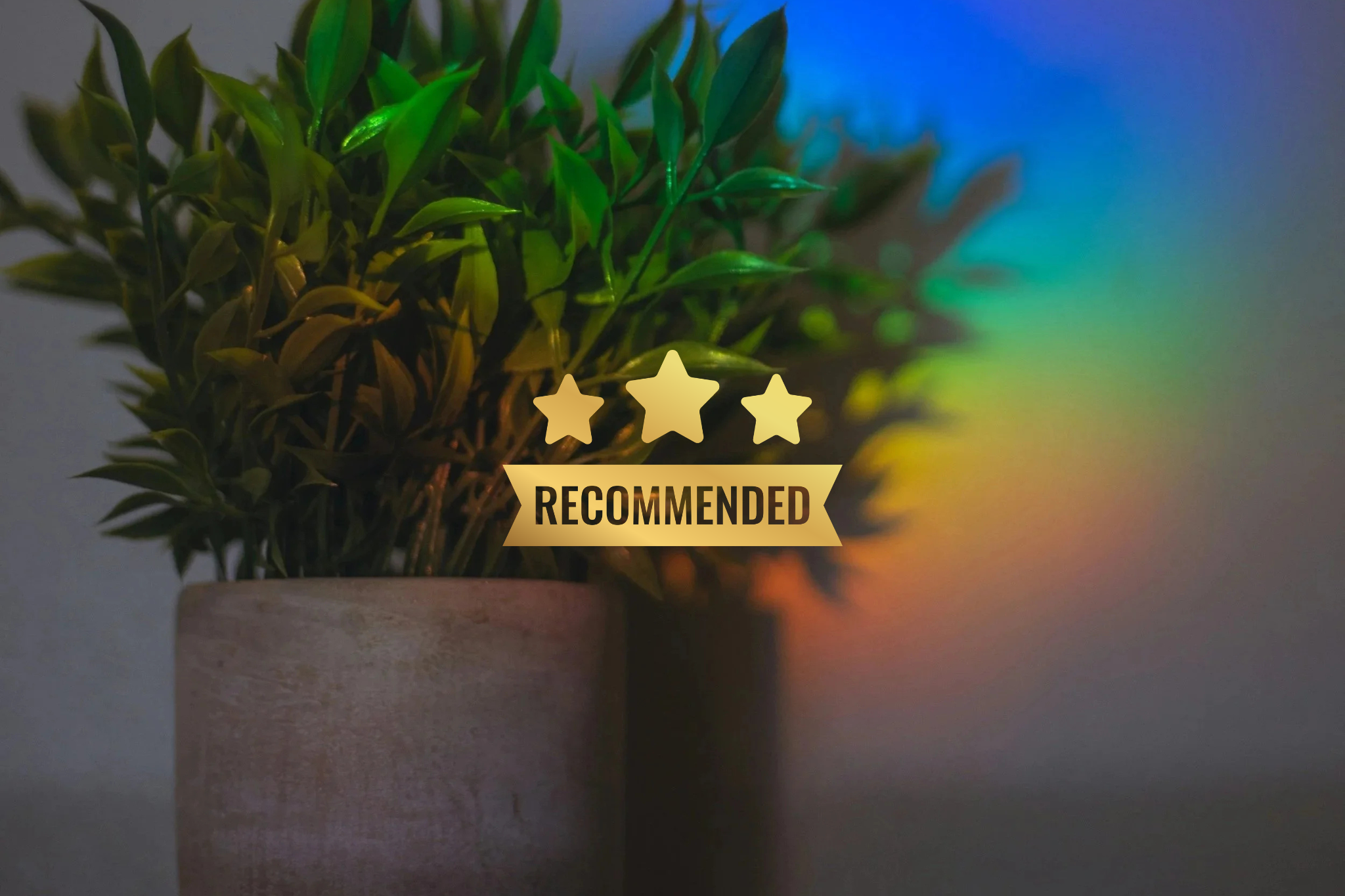 Close-up of a potted green plant with a four-star rating and 'RECOMMENDED' badge overlay in front, with a rainbow-colored light reflection in the background.