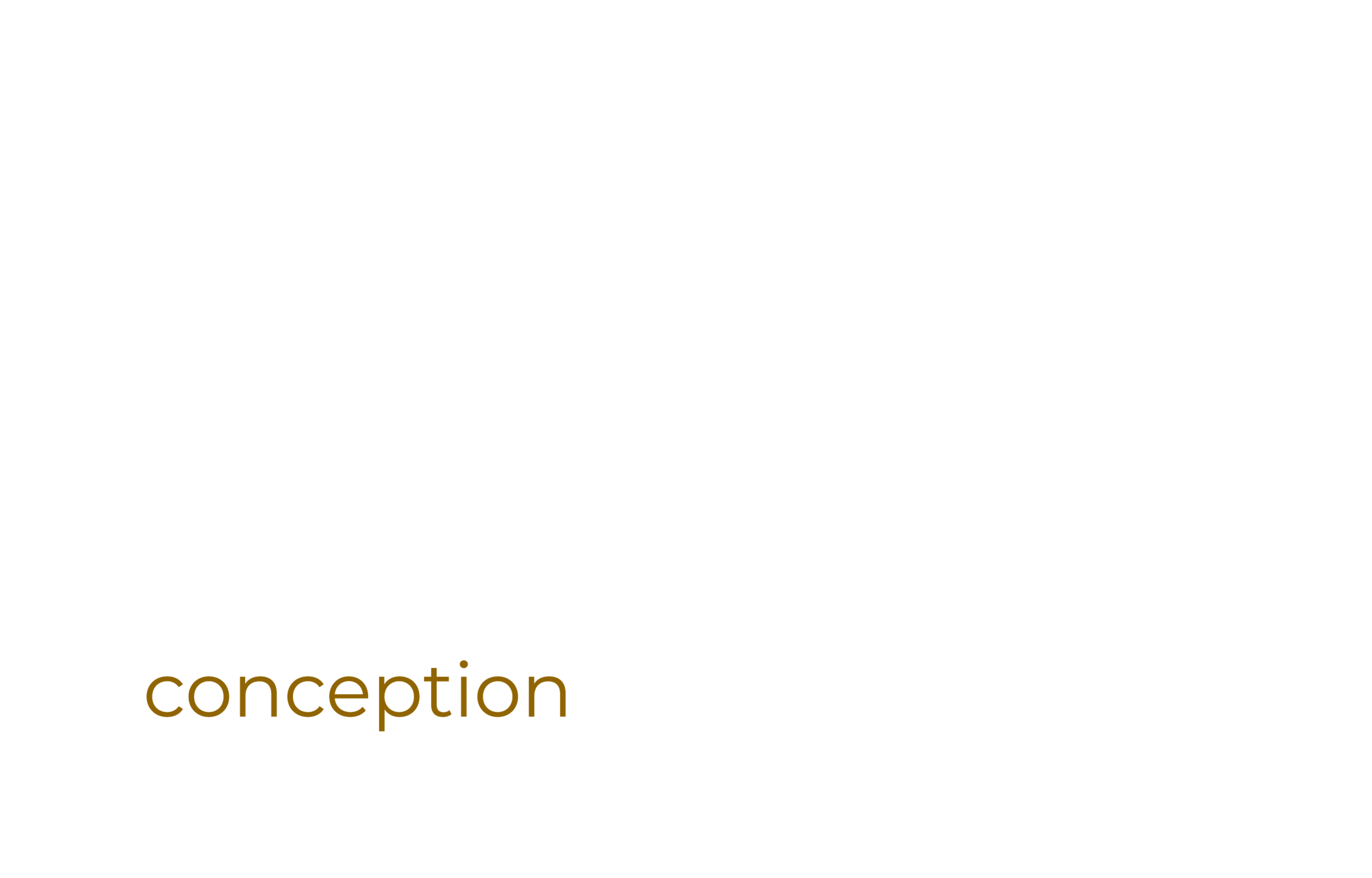 Conception Design Associates