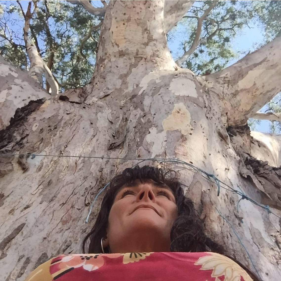 Screen Shot 2019-07-31 at 12.16.09 am.png