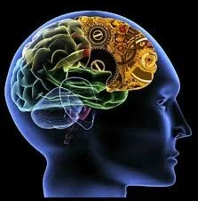 Can meditation help with anxiety?