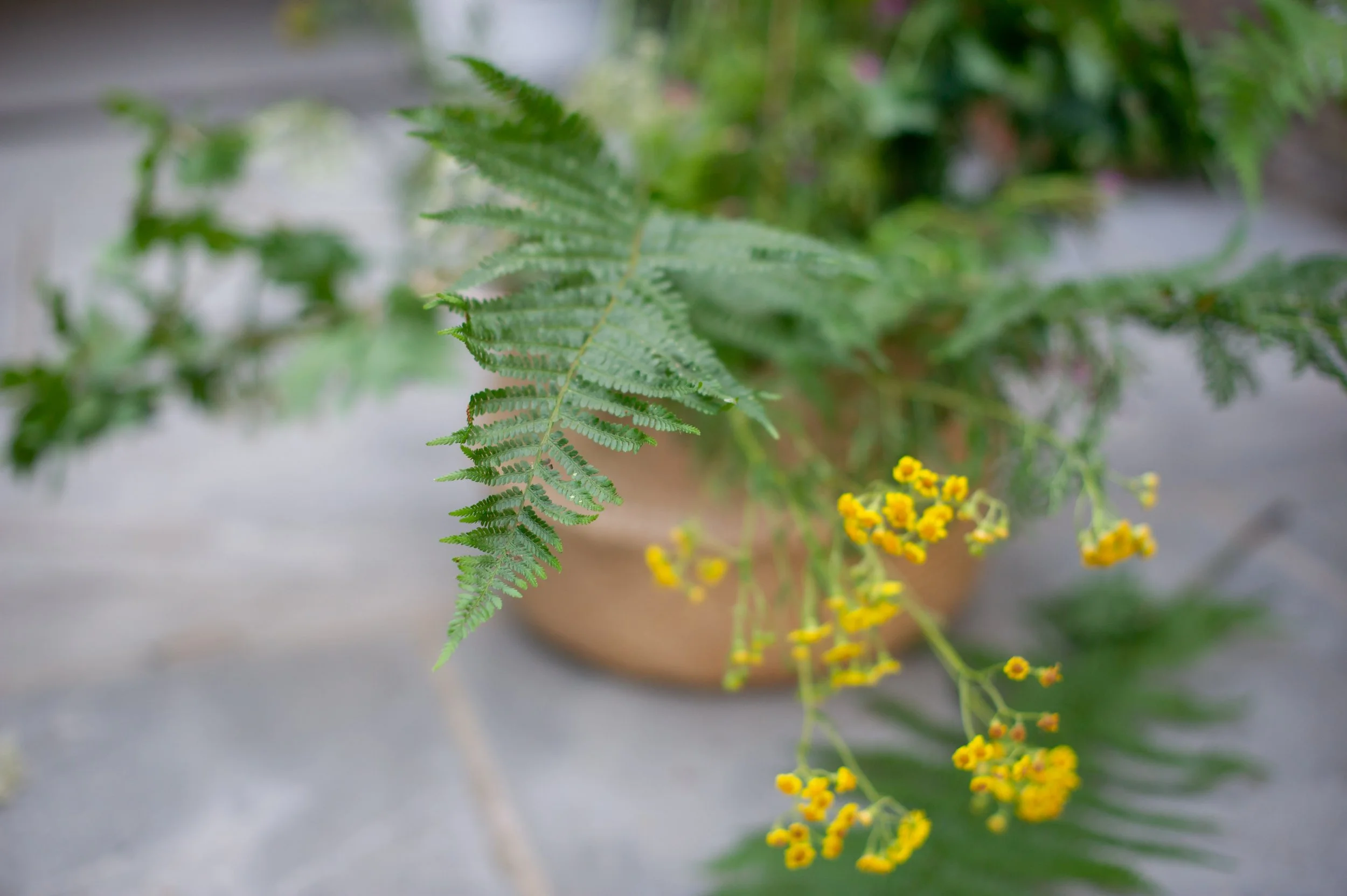 How can coaching help me? 