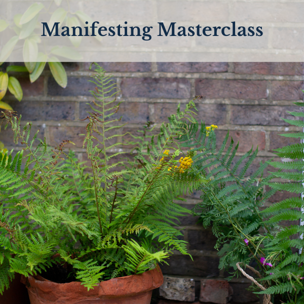 Manifesting Masterclass