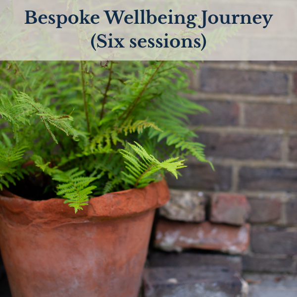 Bespoke Wellbeing Journey (six sessions)