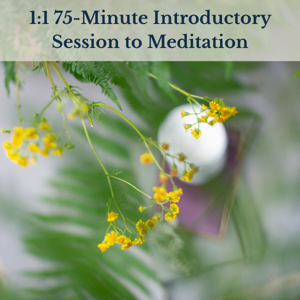 KHM - 11 75 minute .png