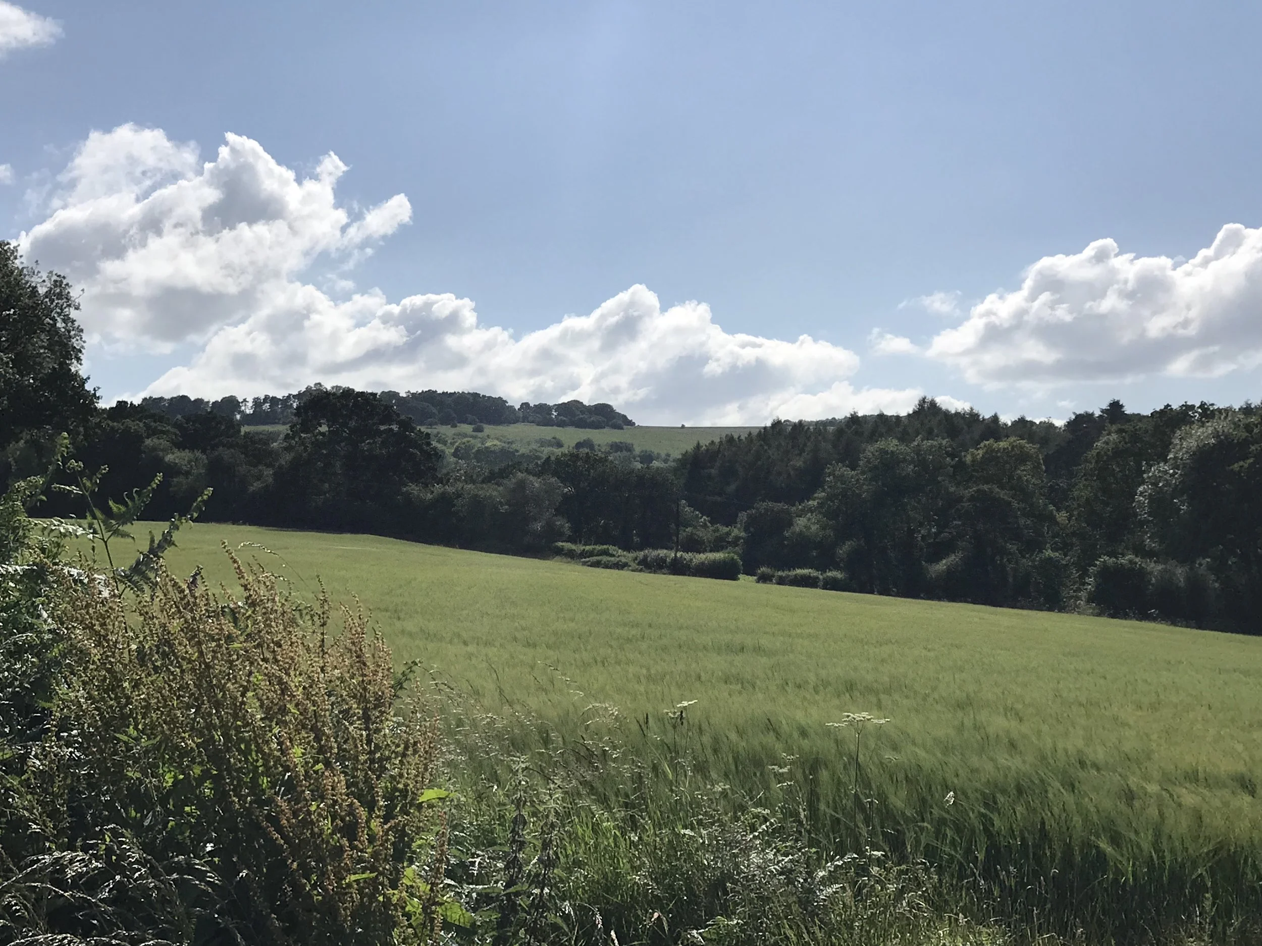 Location 3.jpg