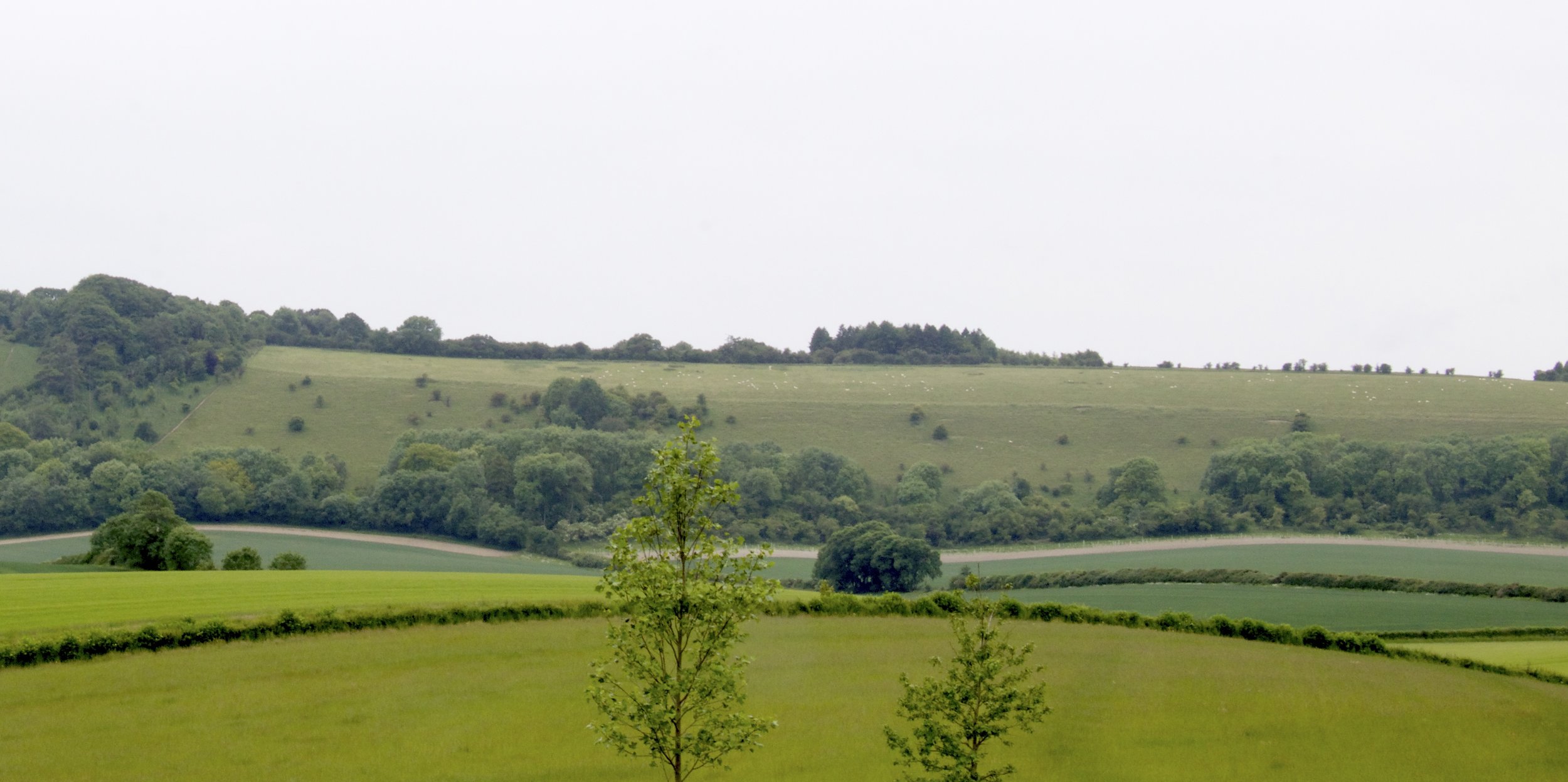 Location 5.jpg