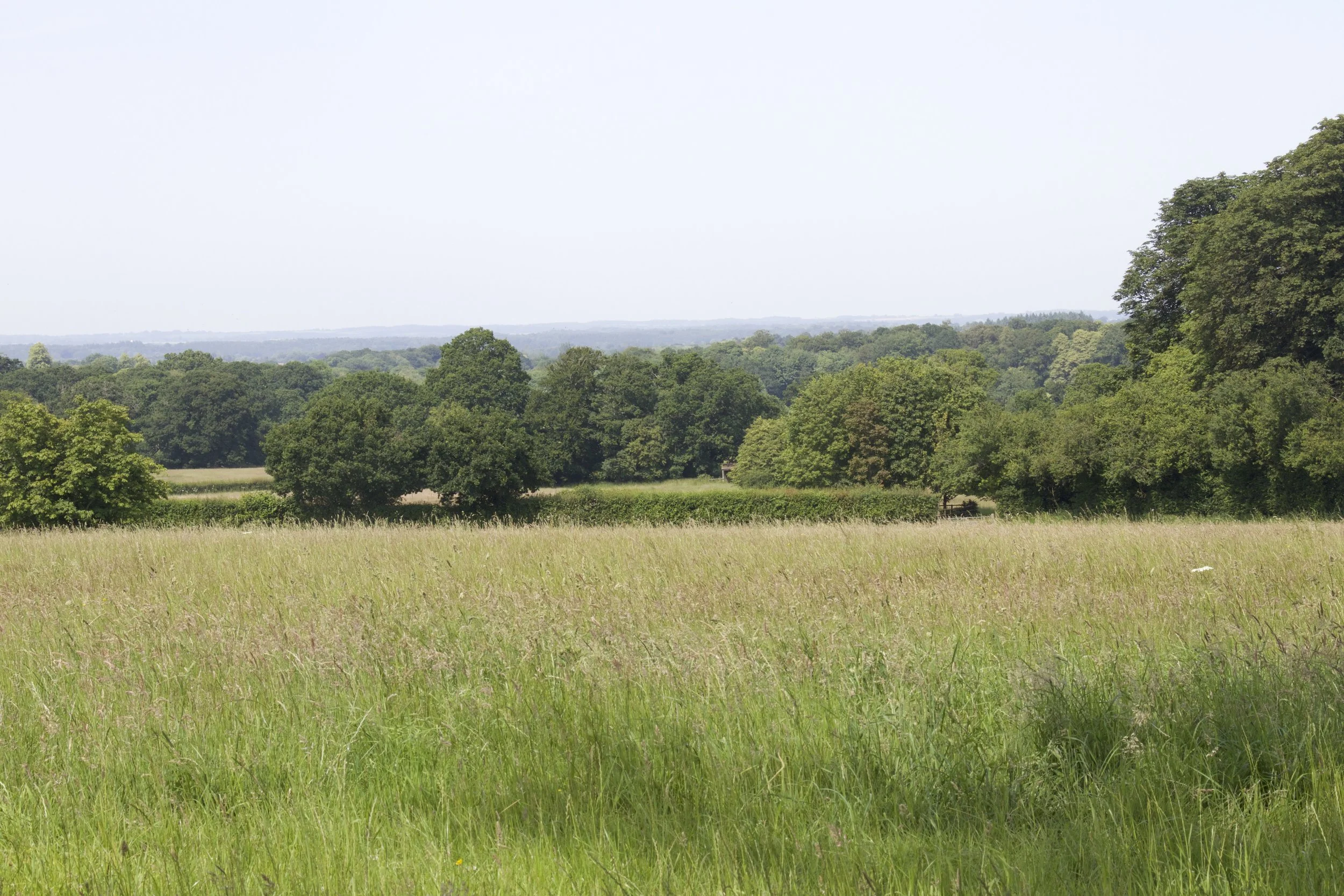 Location 6.jpg