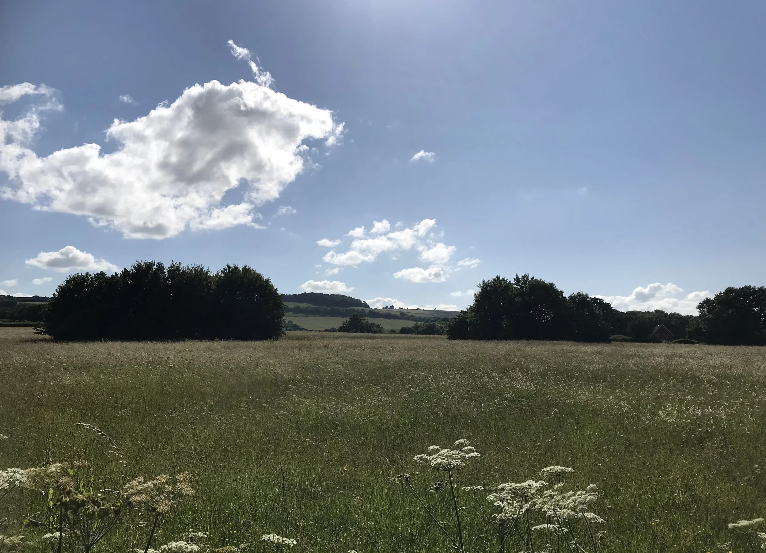 Location 9.jpg