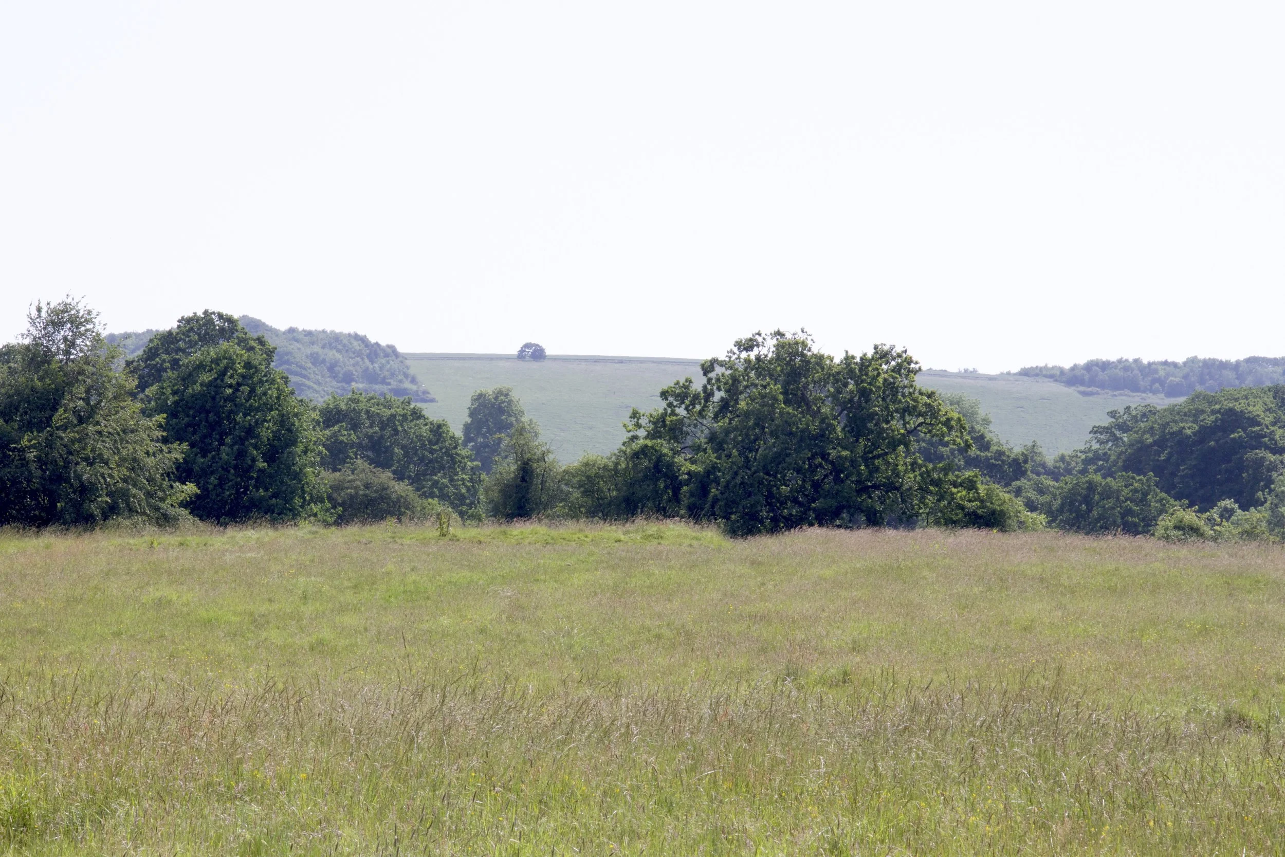 Location 8.jpg