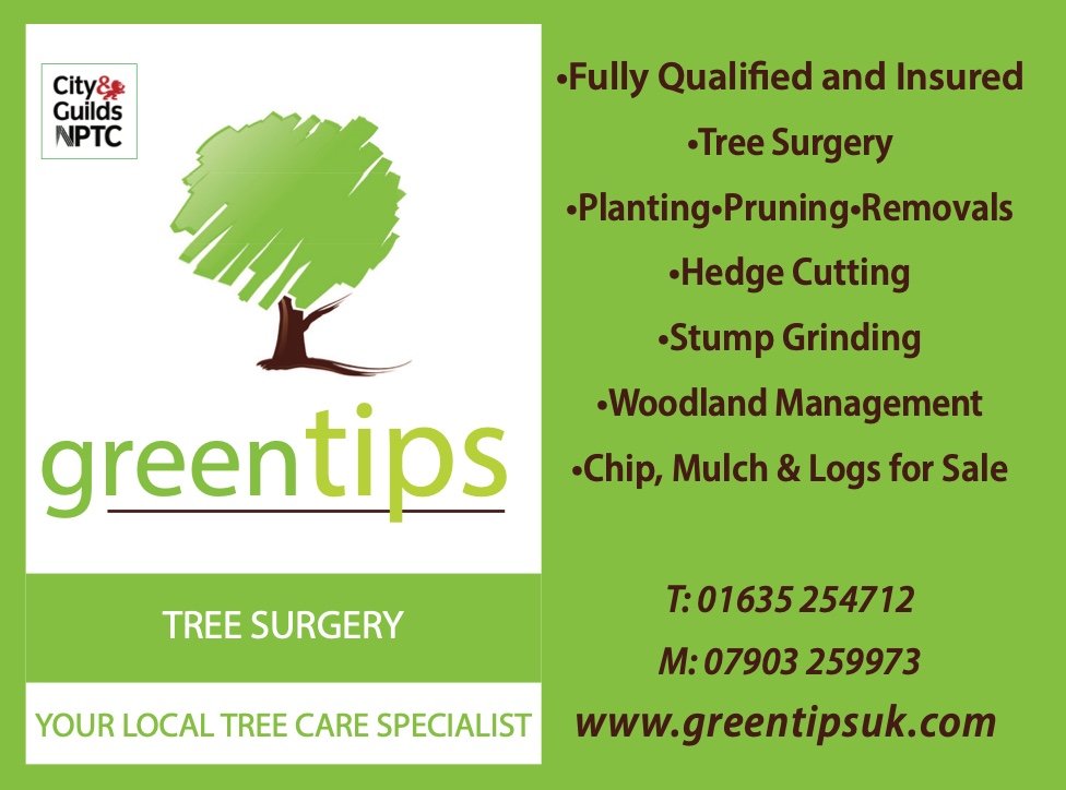 Greentips Tree Surgery