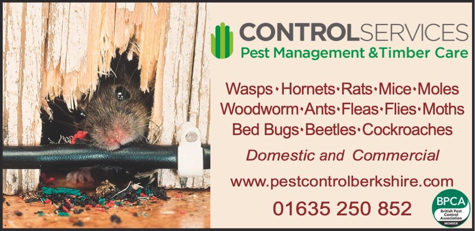 Pest Control Services