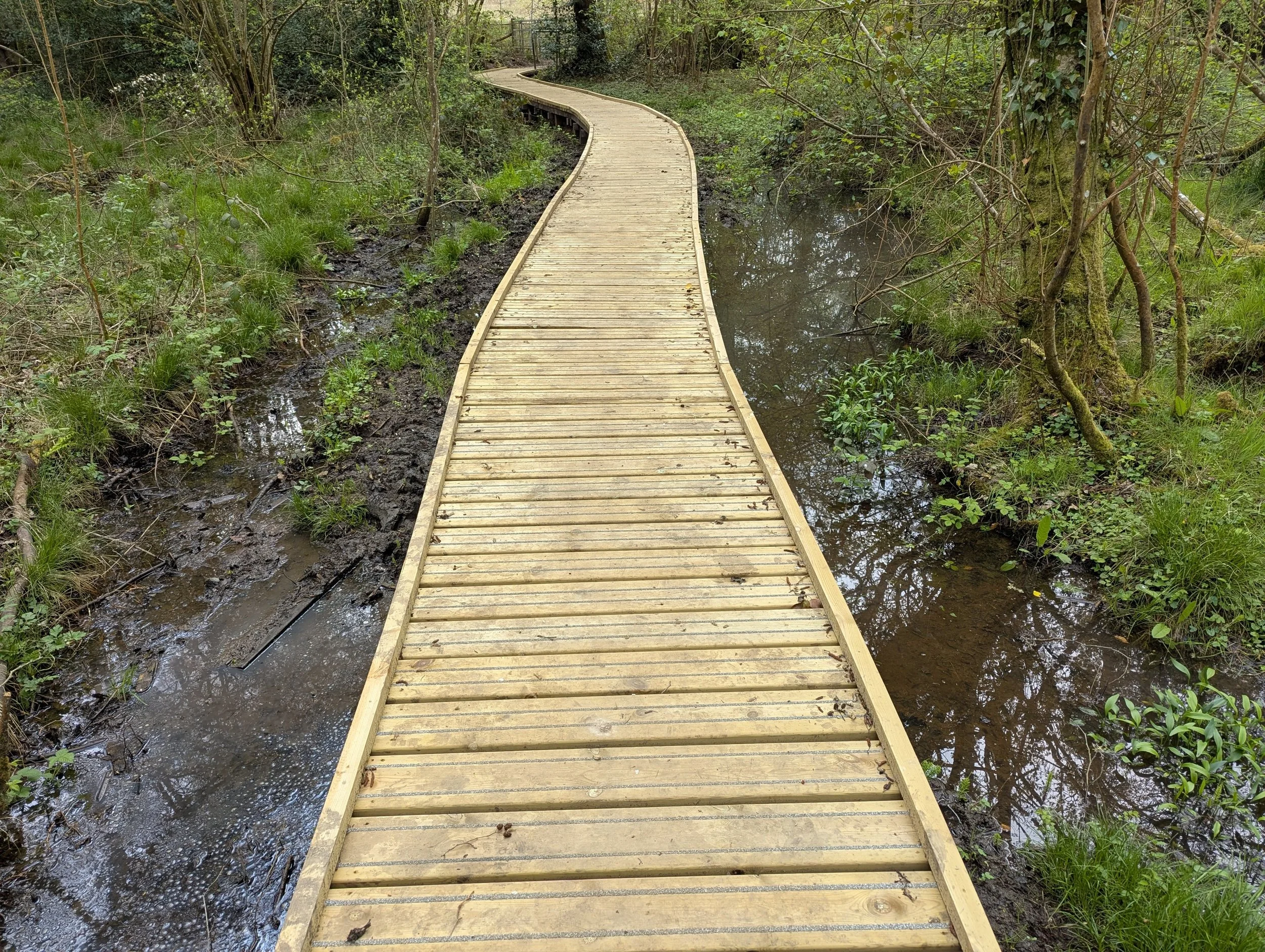 Boardwalk over wet area.jpeg