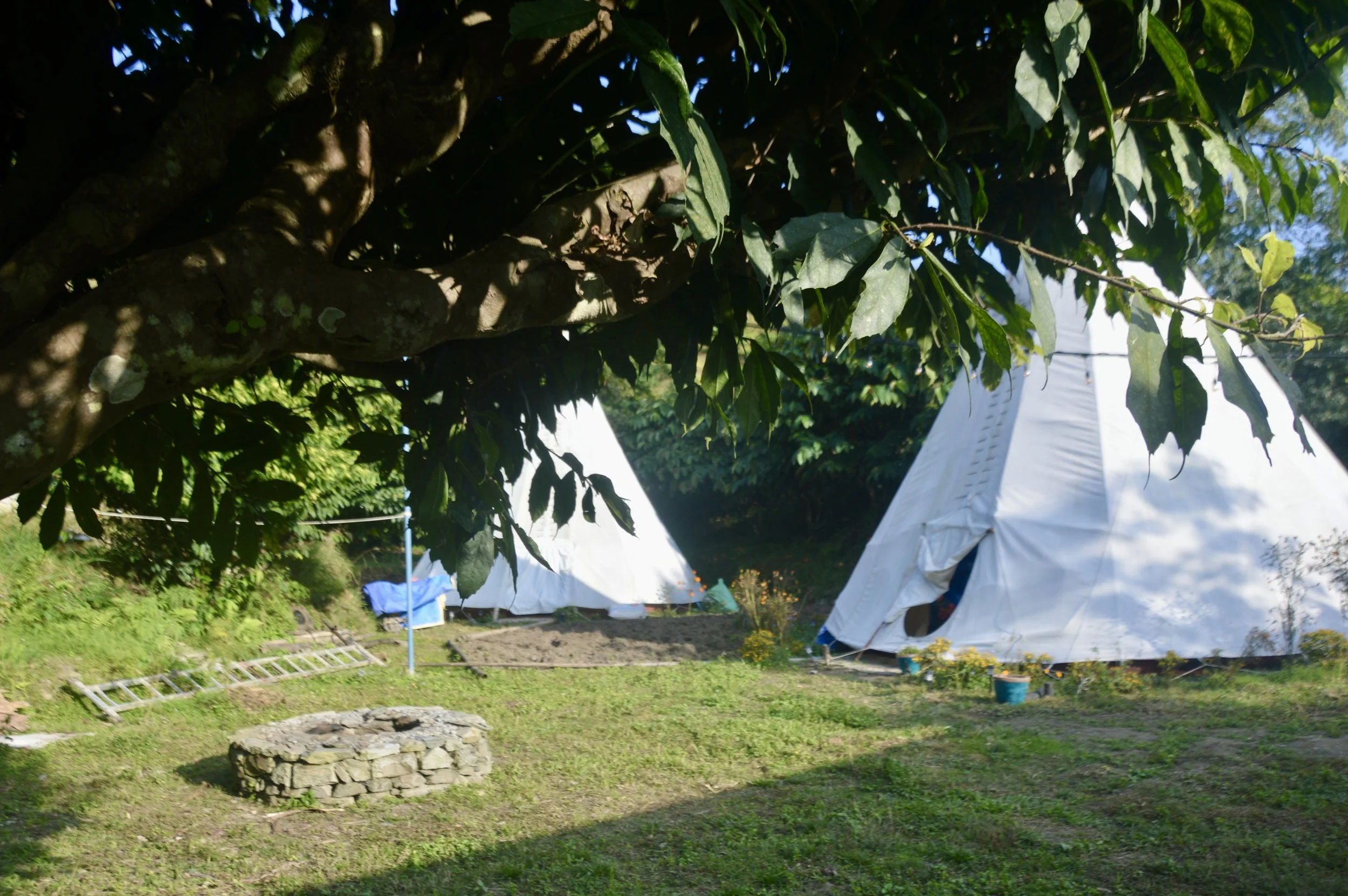 DSC_0554.JPG