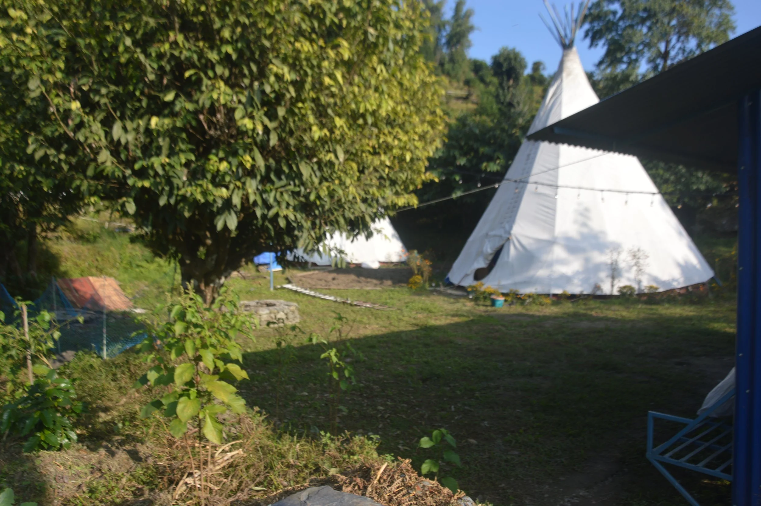 DSC_0511.JPG