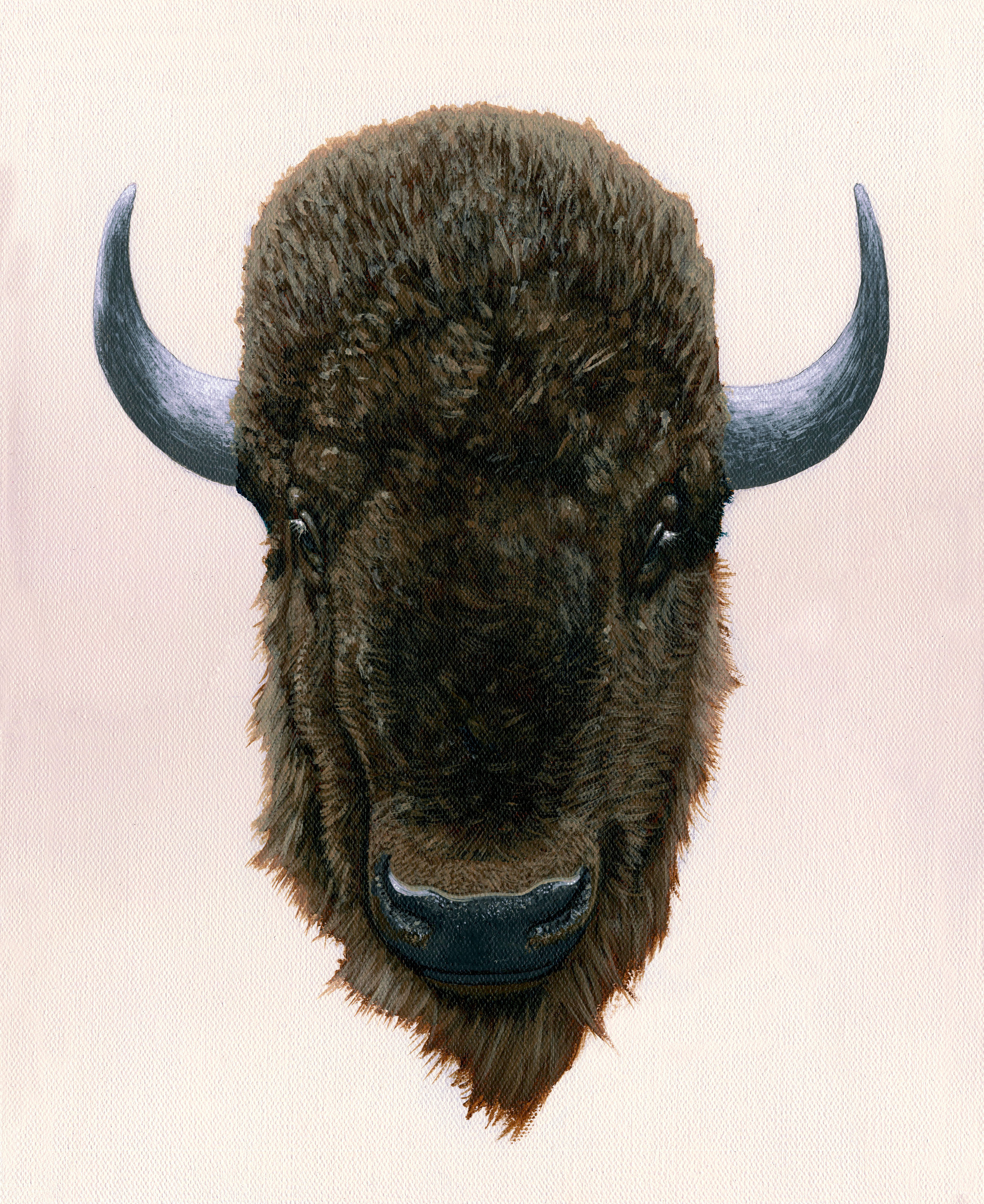 AMERICAN BUFFALO