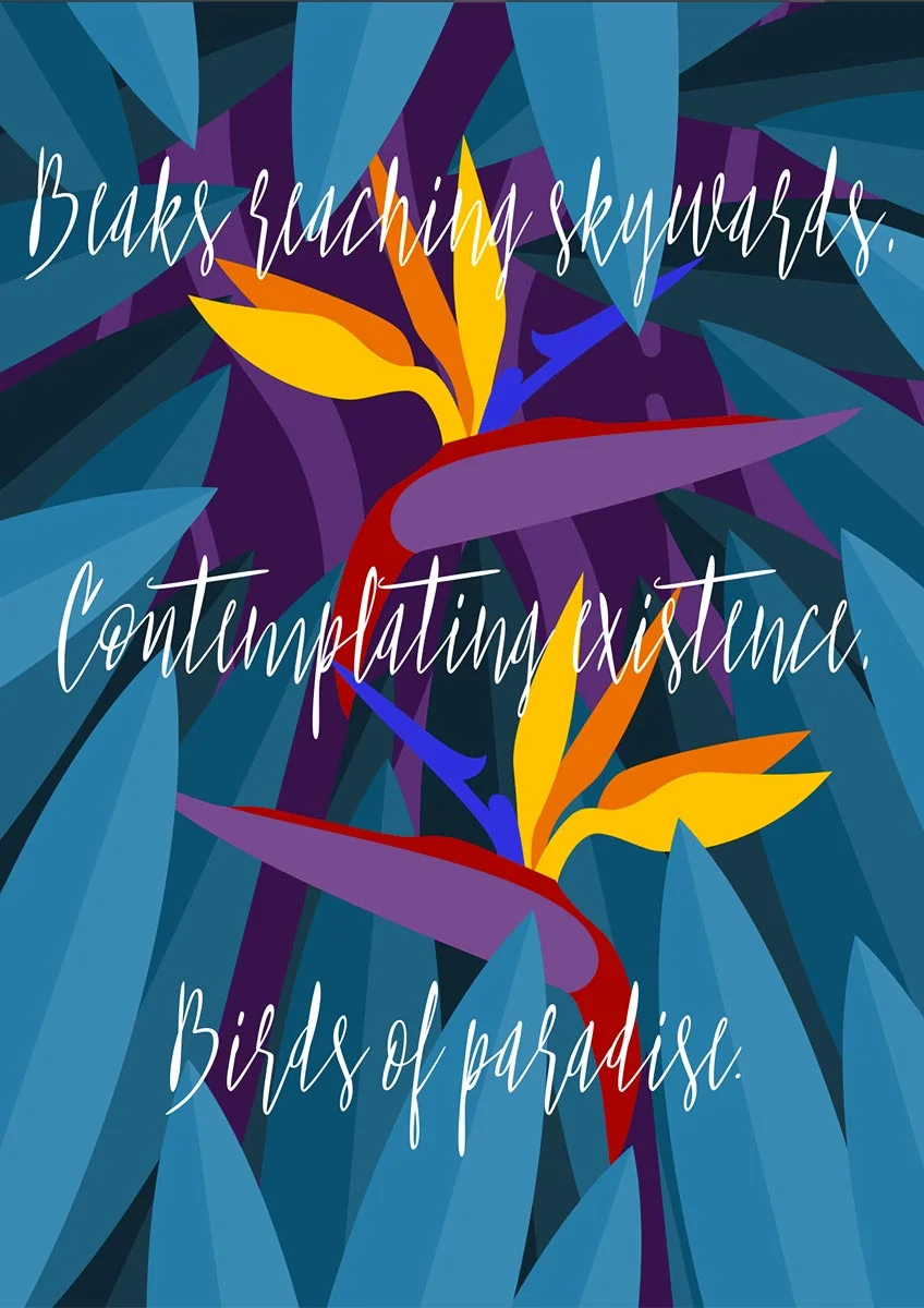 2017-05_KvK_Strelitzia_reginae_03-MockUp_(DINA6,72dpi,RGB).jpg