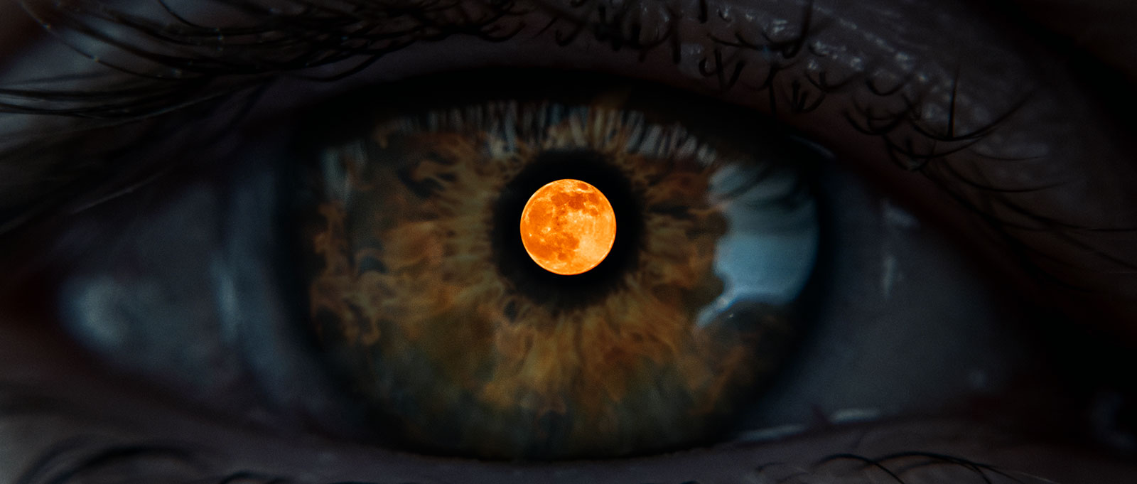 2019-06_16-PavorNocturnus_(2,35-1,8Bit,72dpi,sRGB)_FINAL.jpg