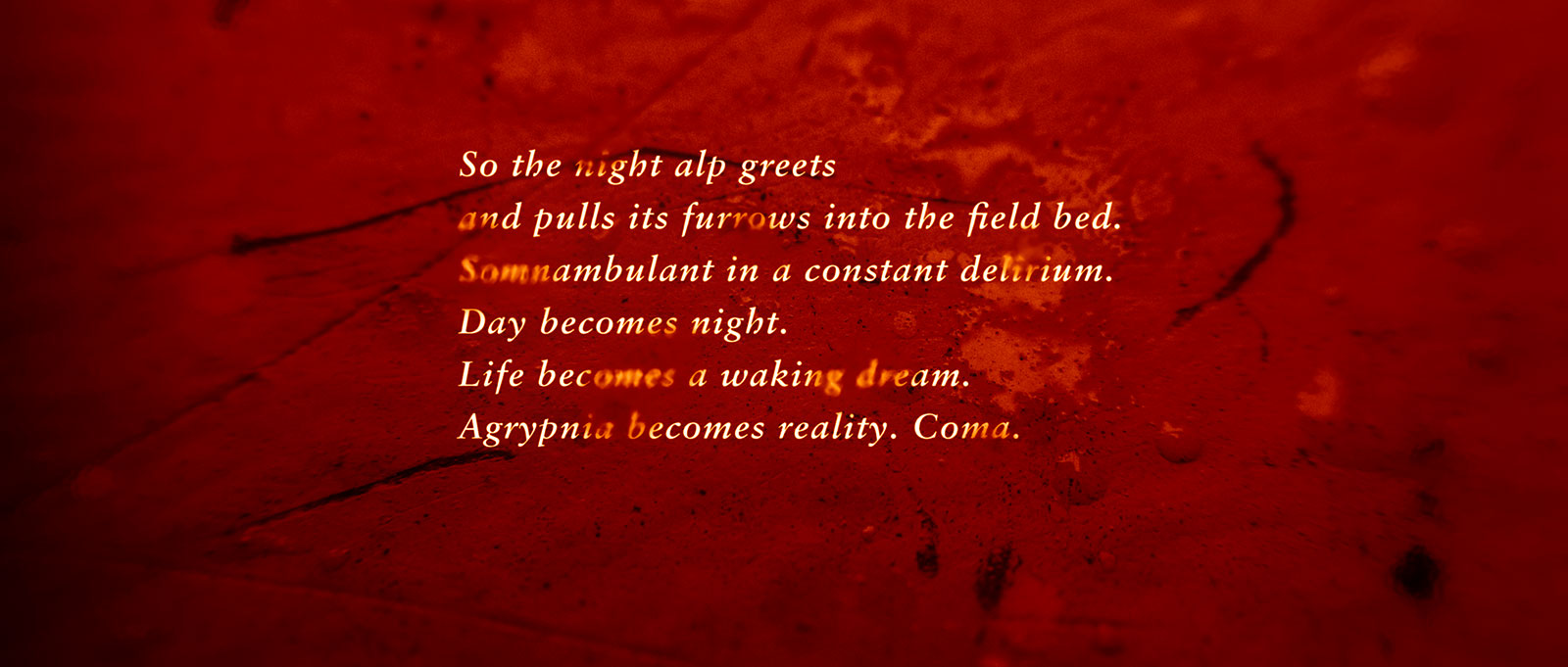 2019-06_19-PavorNocturnus_(2,35-1,8Bit,72dpi,sRGB)_FINAL.jpg