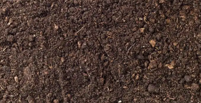 Major Differences Between Garden Soil And Potting Soil Vertical Gardening