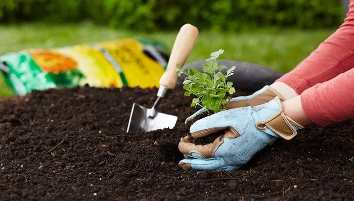 Major Differences Between Garden Soil And Potting Soil Vertical
