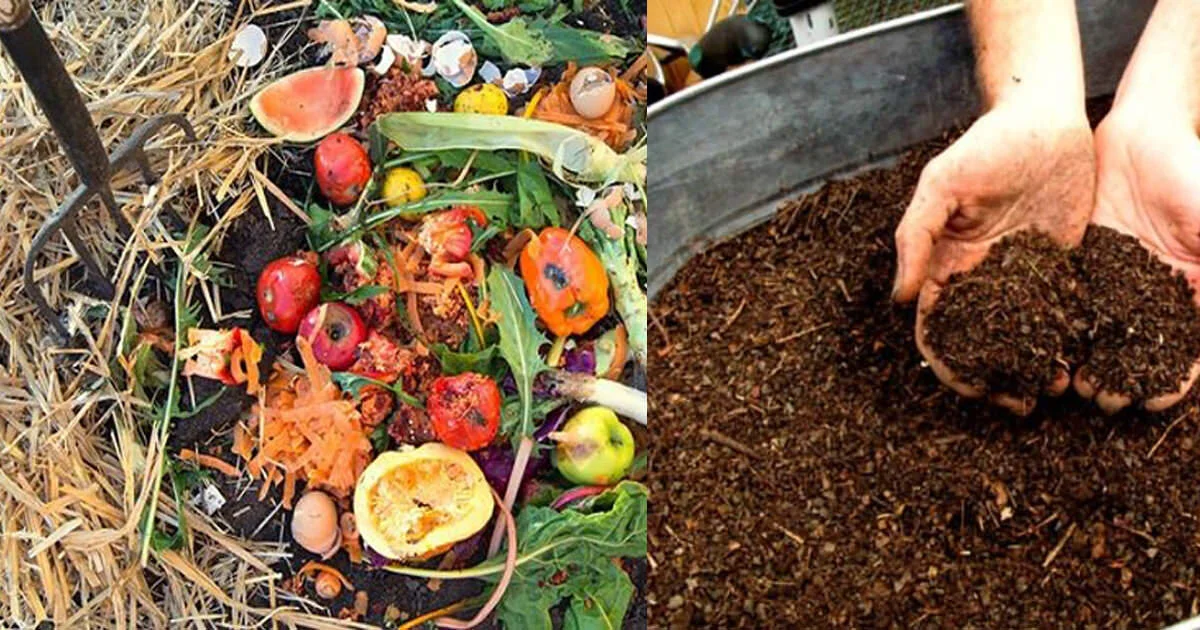 what do you need to start a compost bin vertical gardening