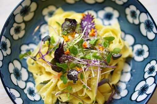 Microgreens: Benefits, Growing Guide, and Harvest Tips (2025)