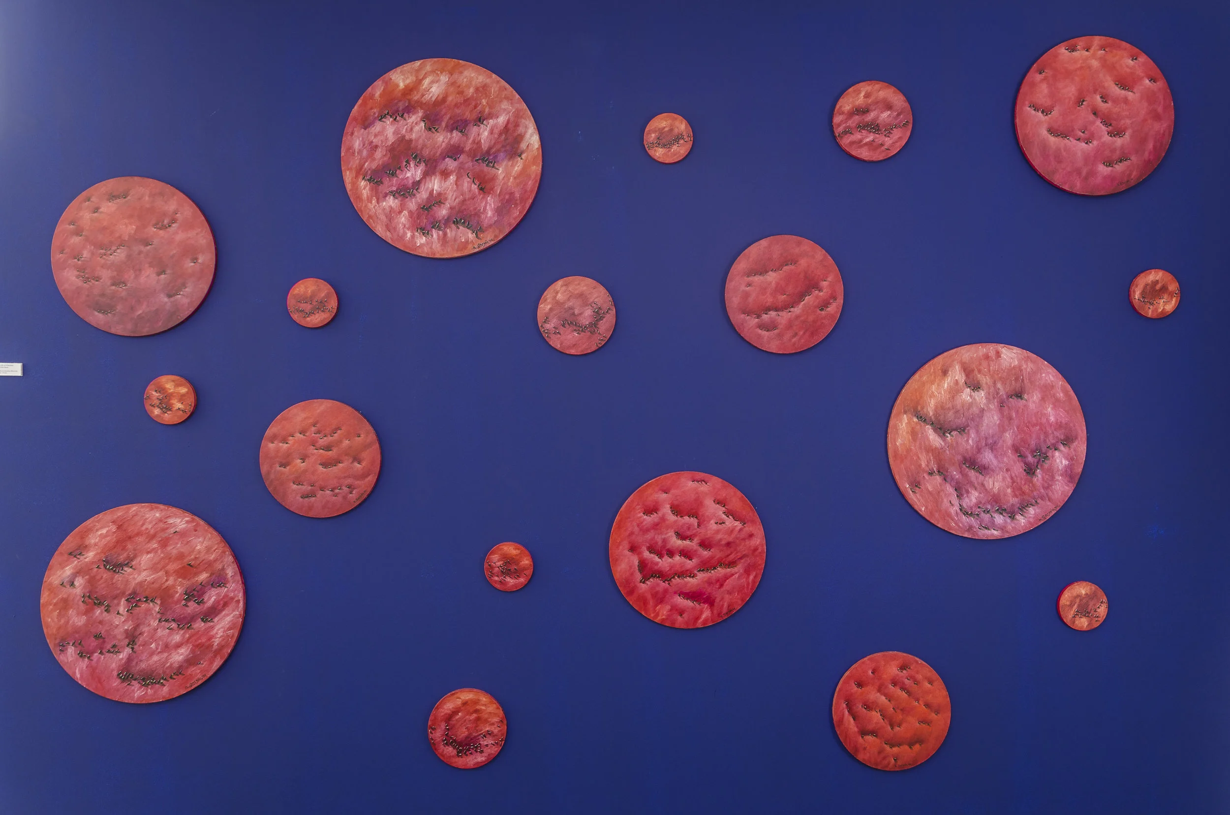 Instalación: Total de la Totalidad