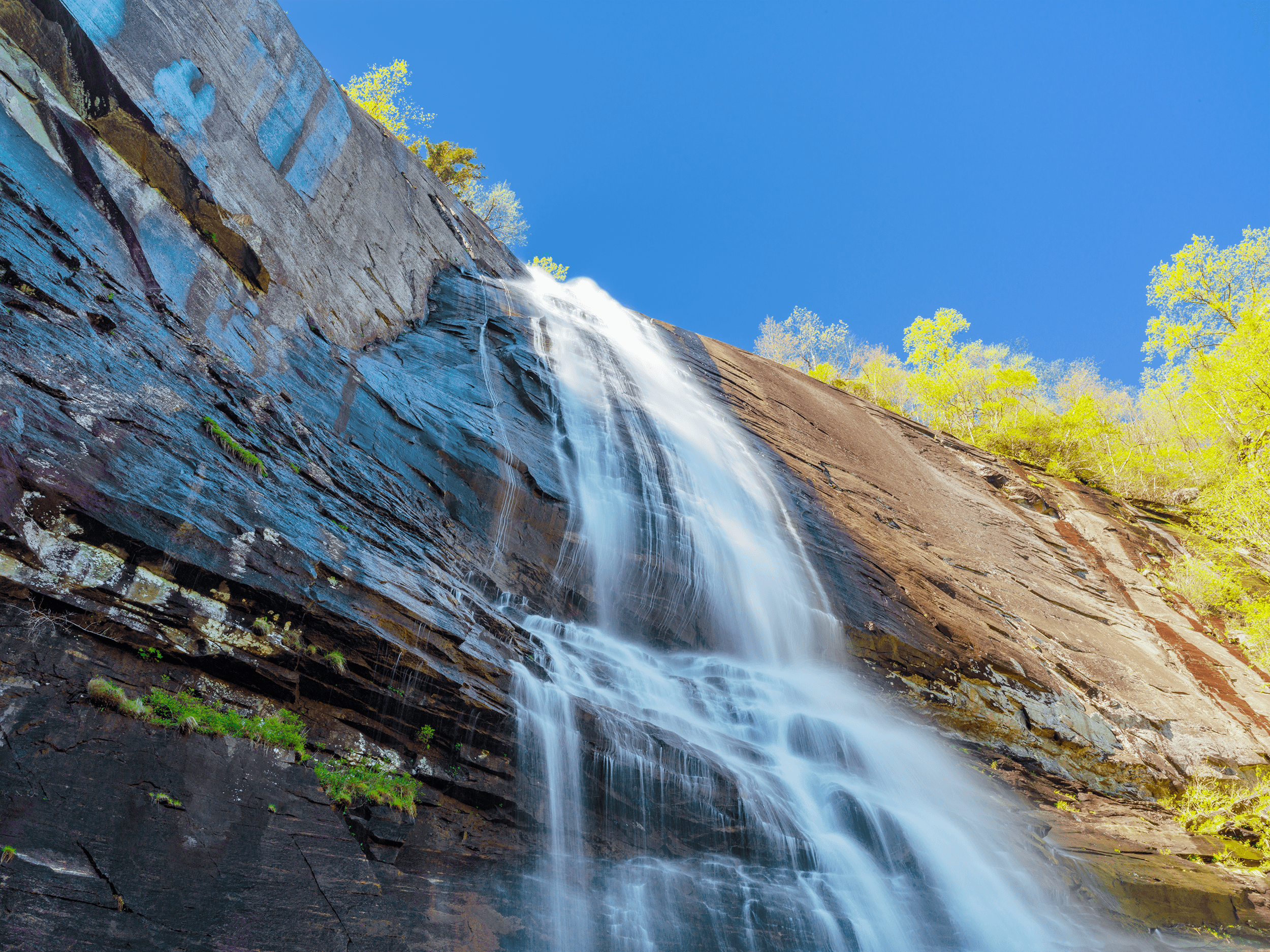 What Makes a Photo Professional?