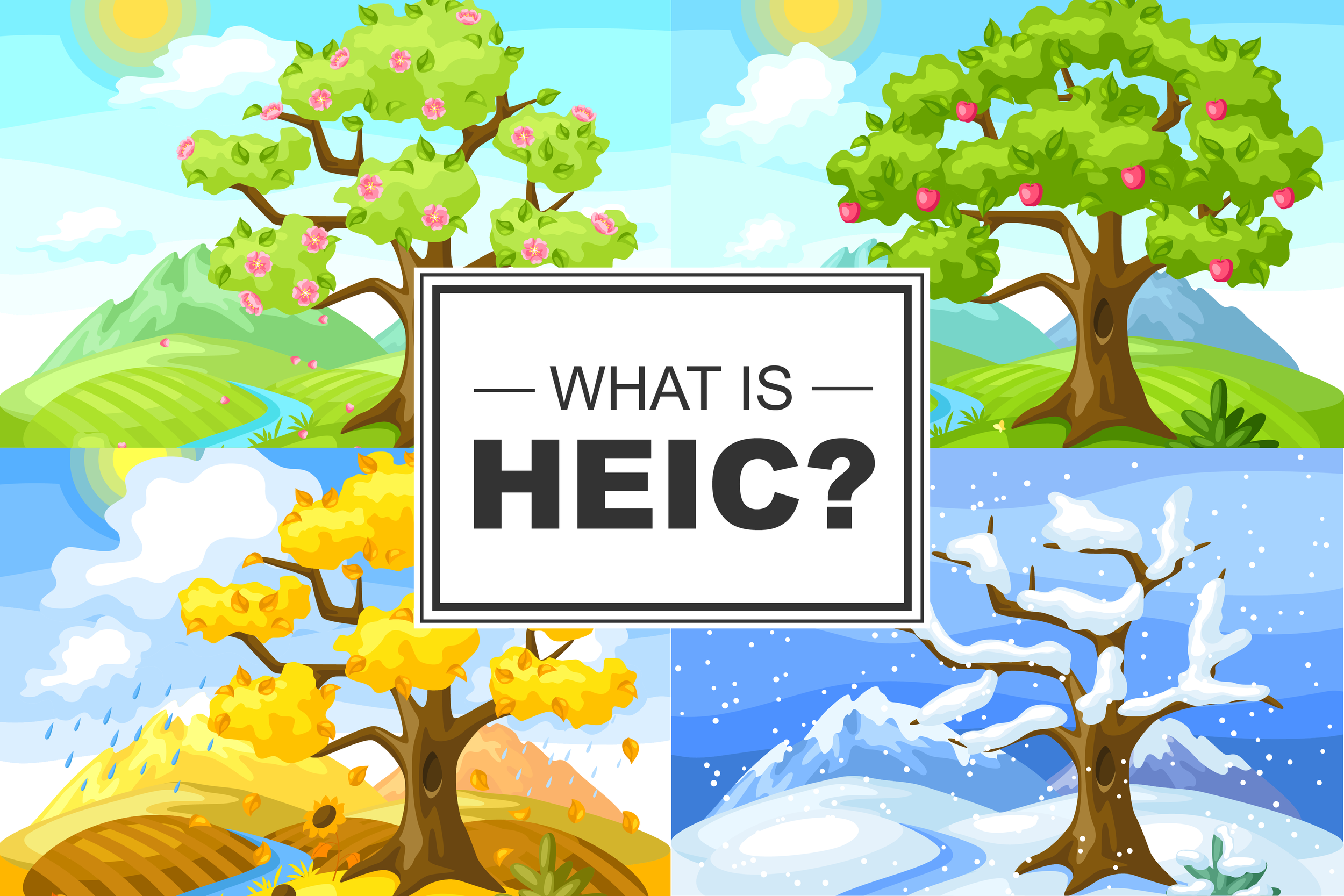 What Is HEIC?