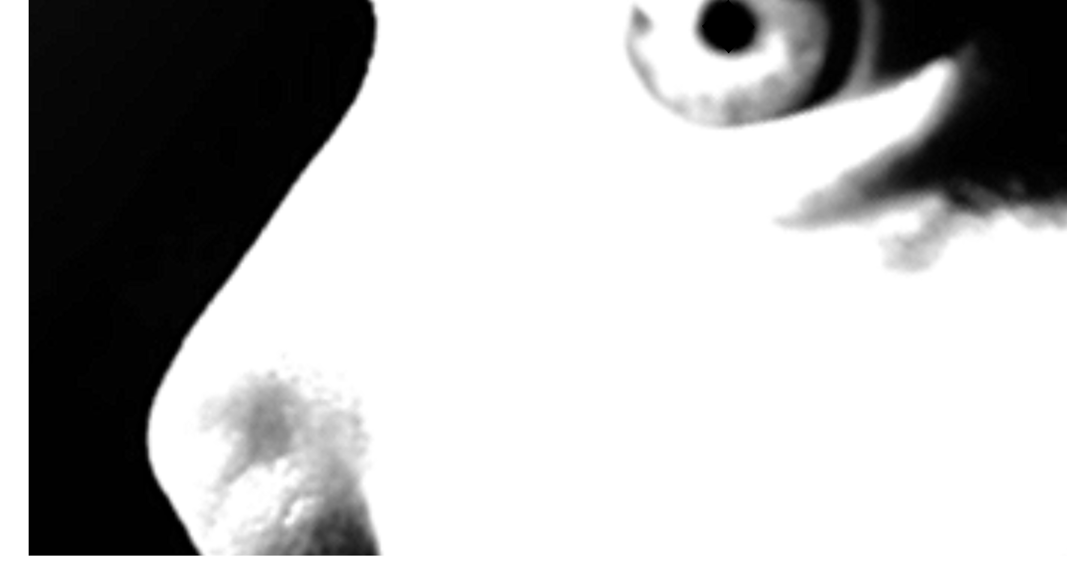 Screen Shot 2019-08-06 at 11.13.44 AM.png