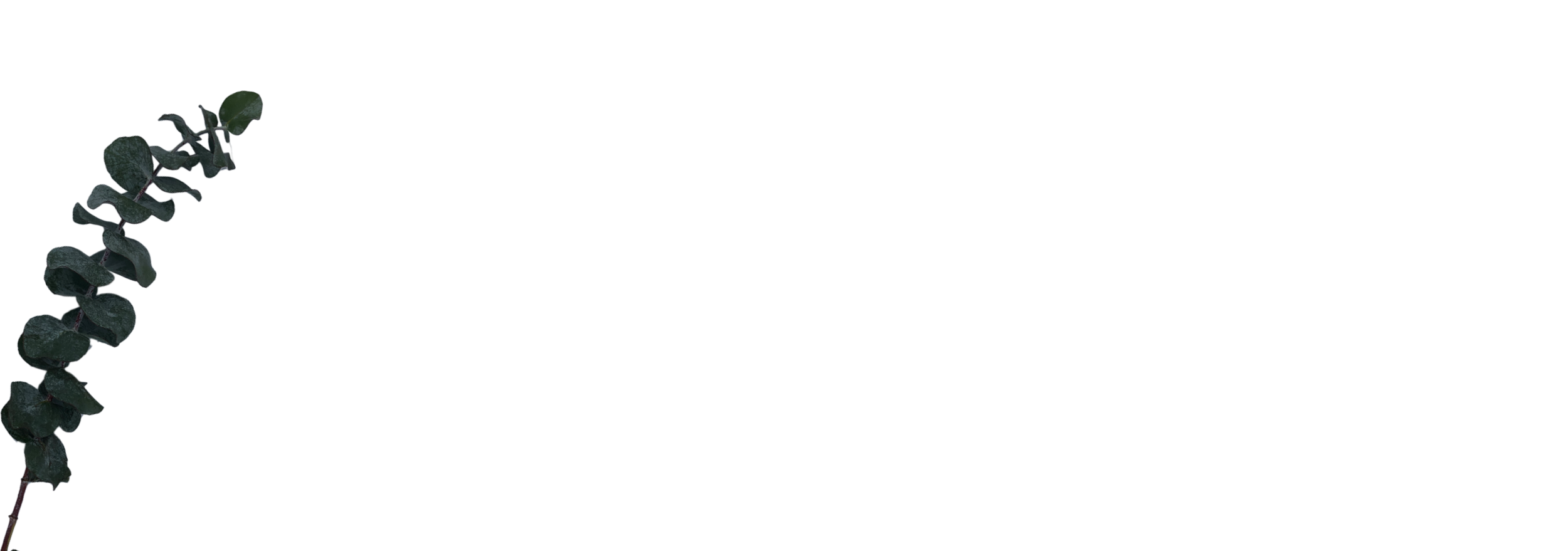 VideoCover-08.png