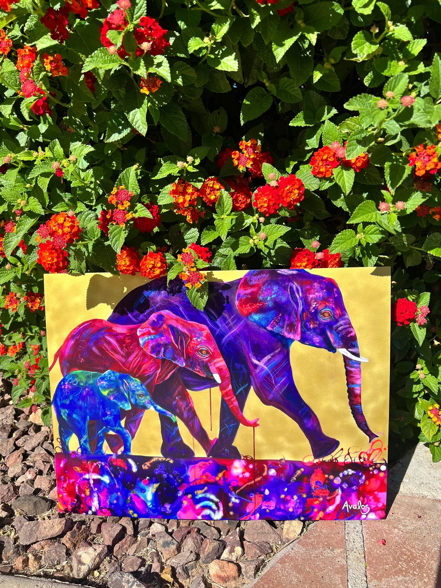 B66B004D-6B1F-4F45-BAEB-1D896A1B04FC