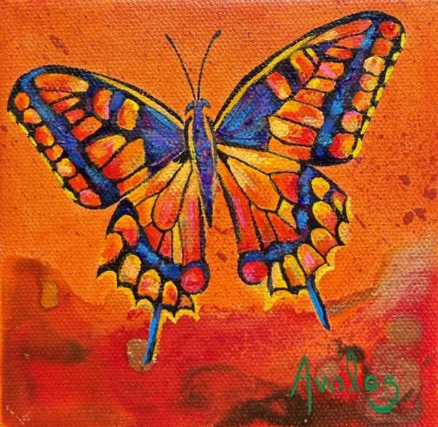 Metamorphosis