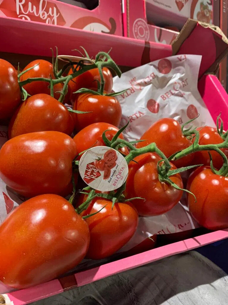 Tomatoes.jpg