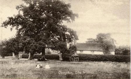 Compton The Withies.jpg