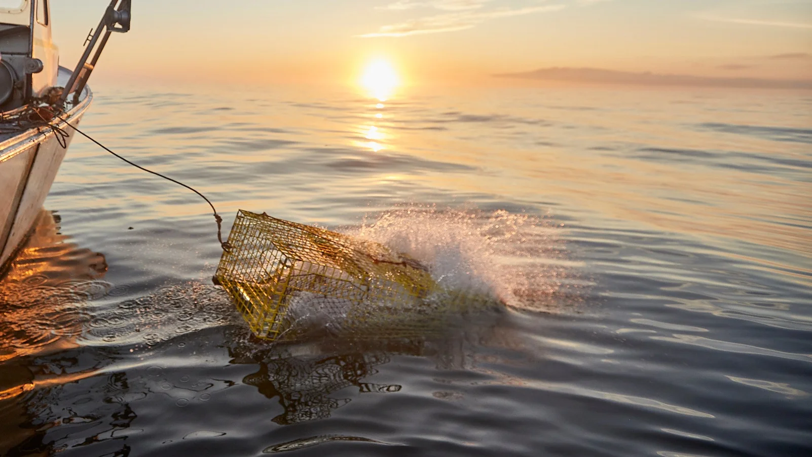READY+SEAFOOD+-+LOBSTER+BOAT+-+08.22.19-0292.jpg
