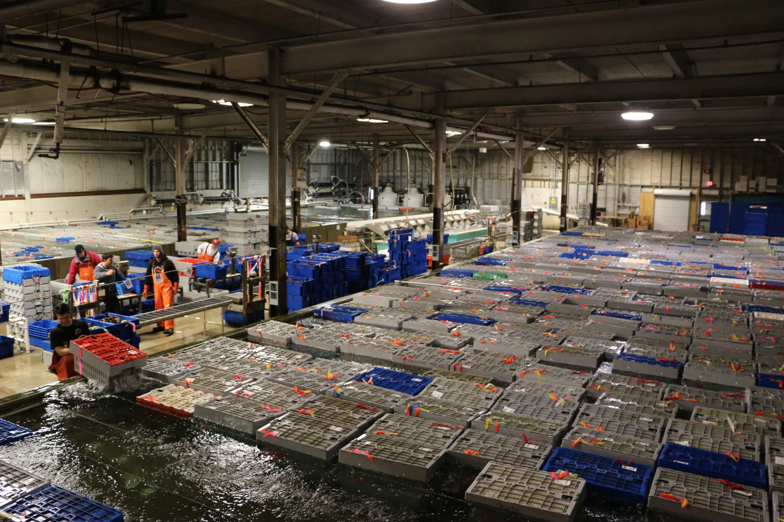 Facilities — Ready Seafood