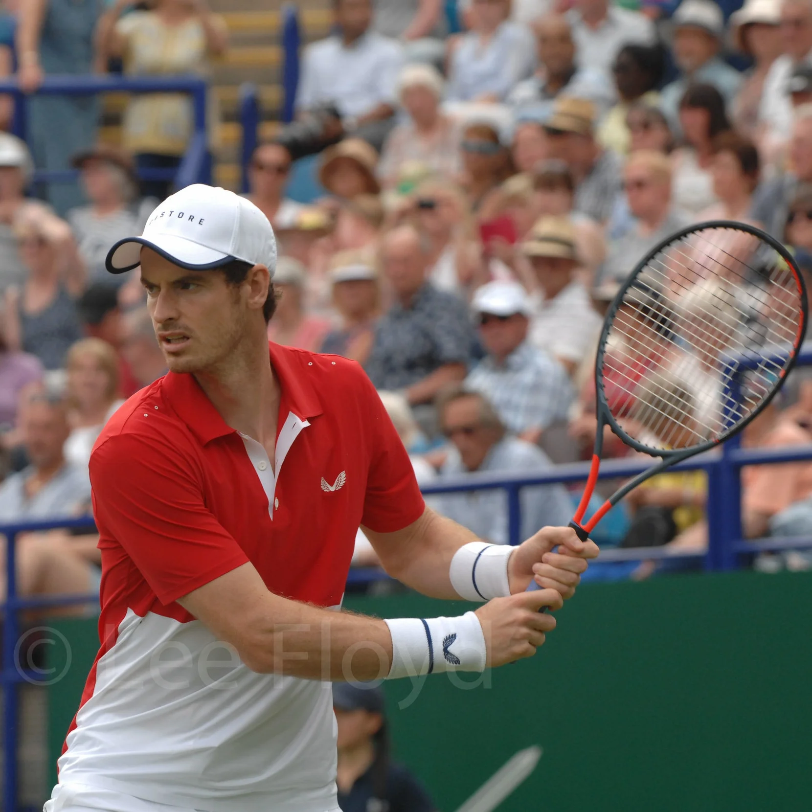 B3214_EastbourneTennis25JuneSet4_12-010.jpg