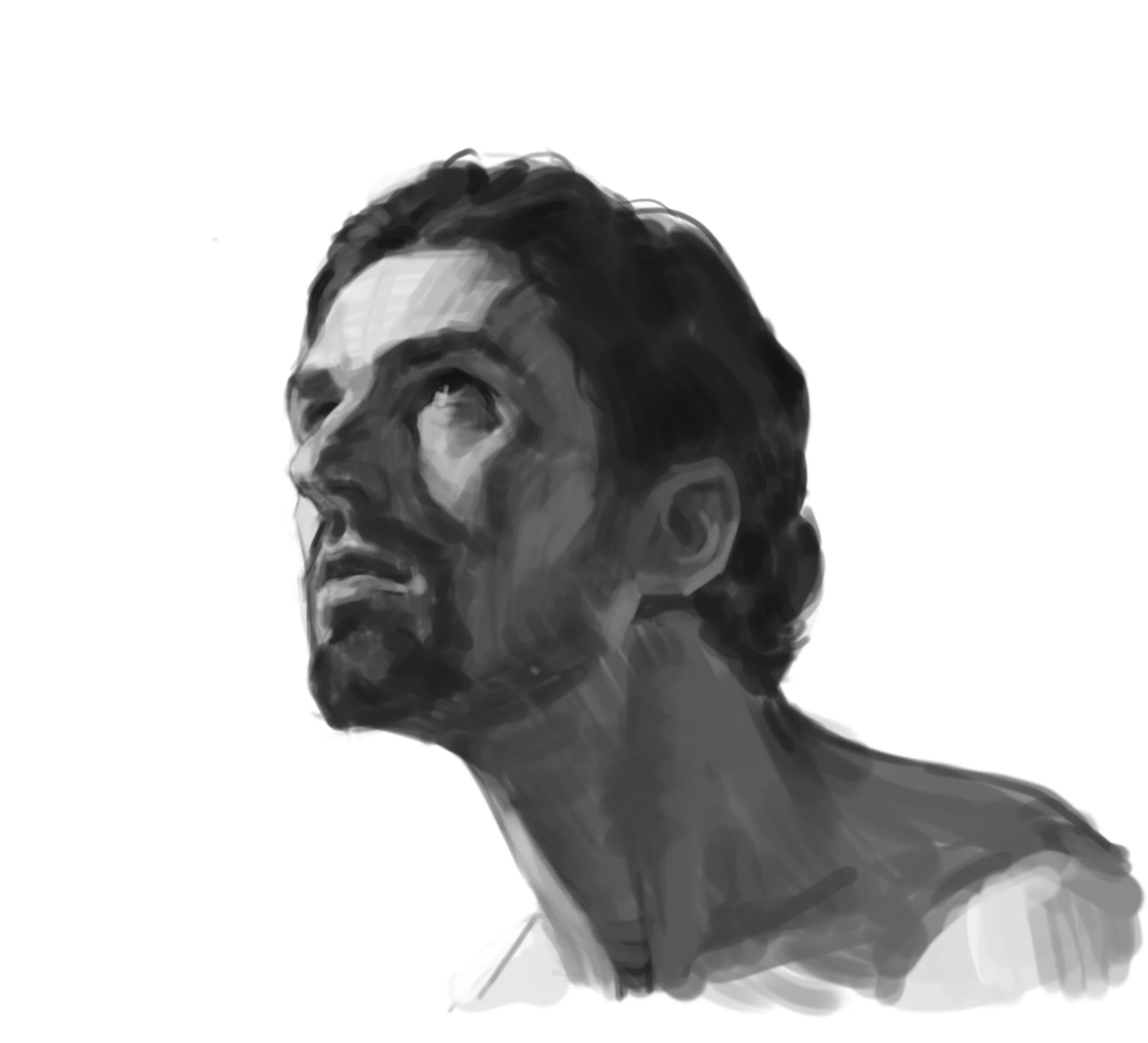 head study August 2026.jpg