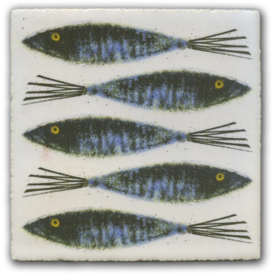 5-BLACK-FISH-WFE.jpg