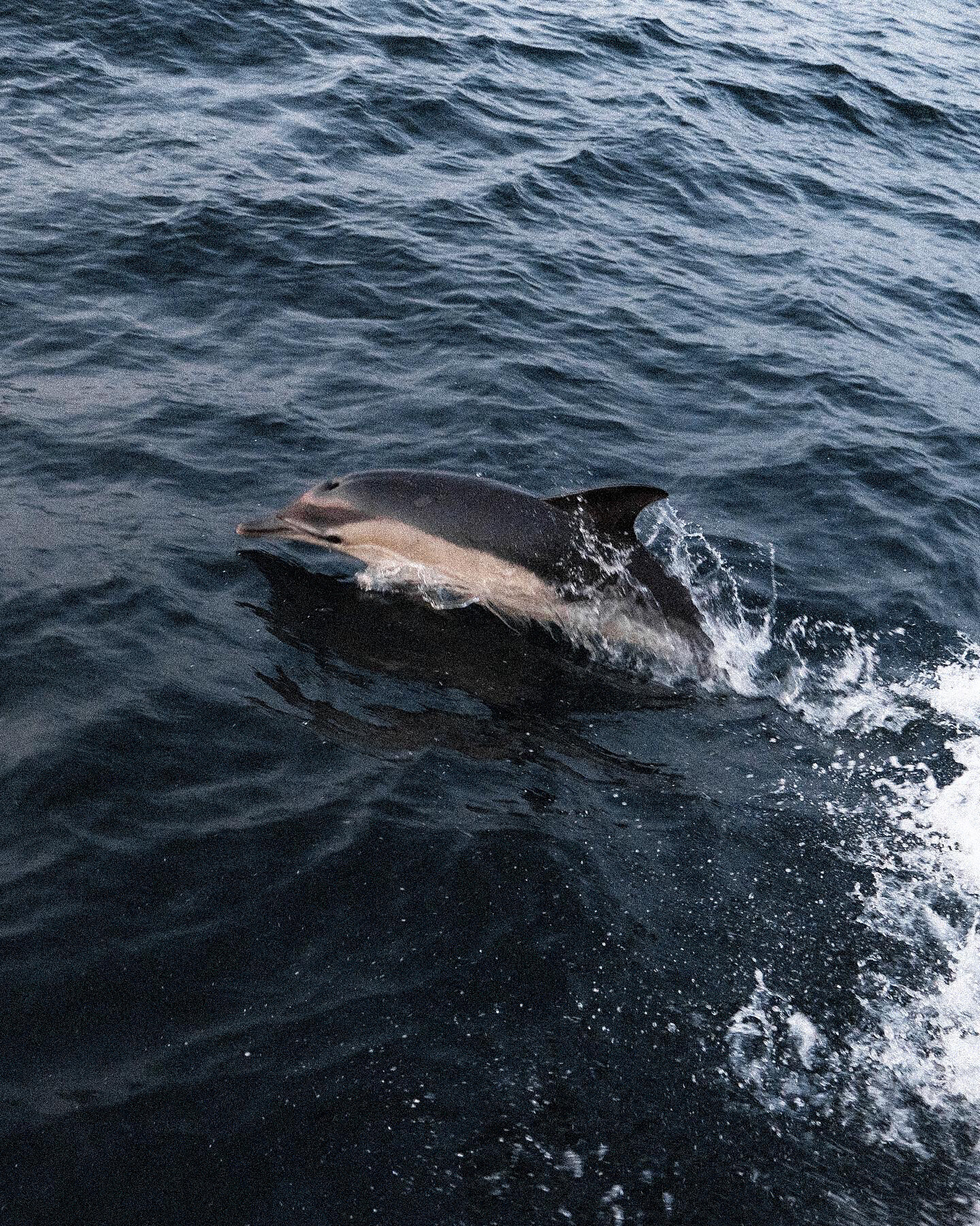 4000 Meter bis zum Grund