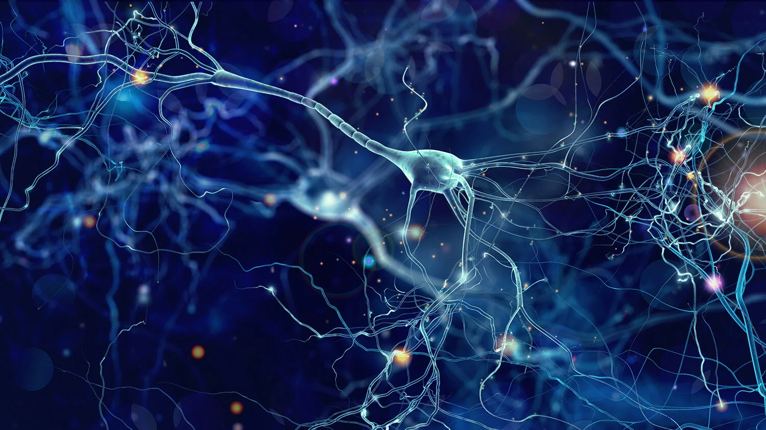 A BBB Shuttle-Assisted Insulin Receptor Anti-Body for Neuroprotection in TBI
