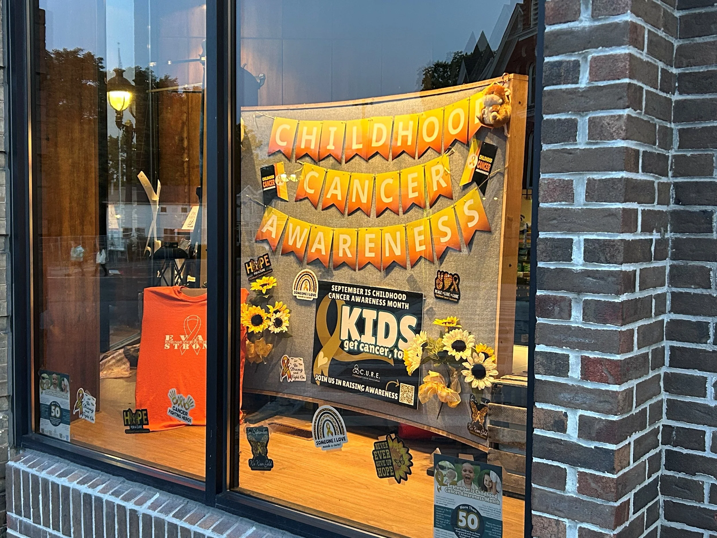 Village of Holley Library Display.jpg